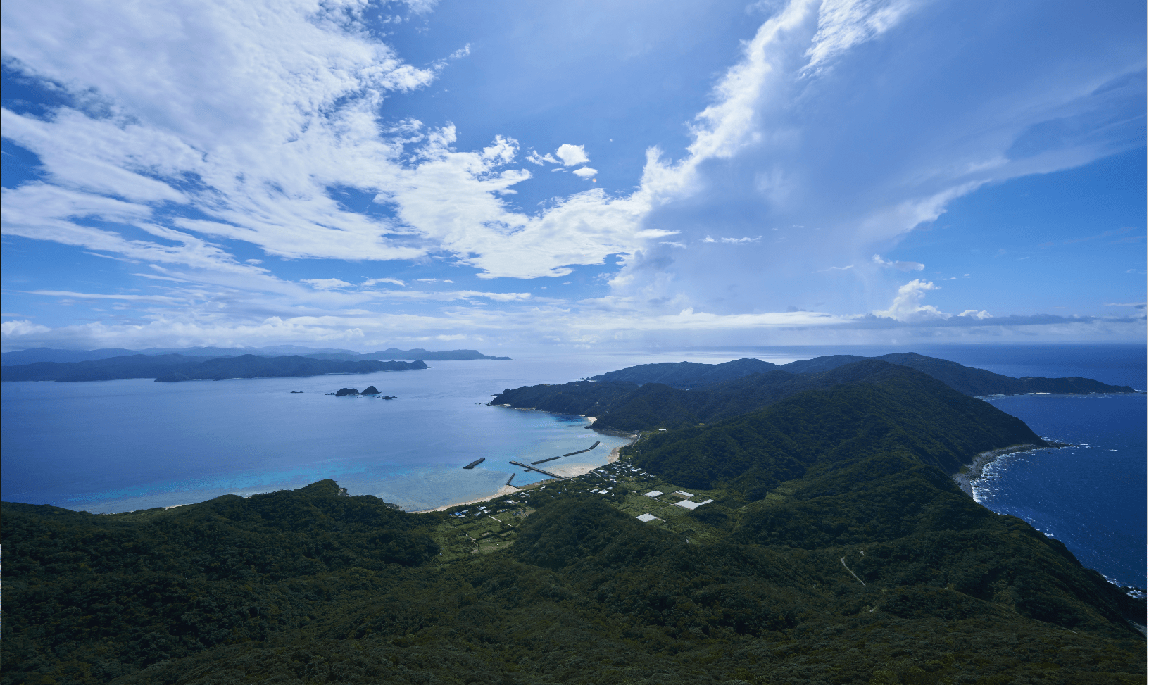 奄美大島の山のおすすめスポット1:金作原原生林