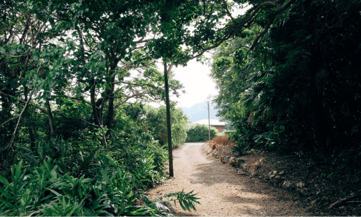 島の記憶を繋ぐ「須子茂のカミミチ」