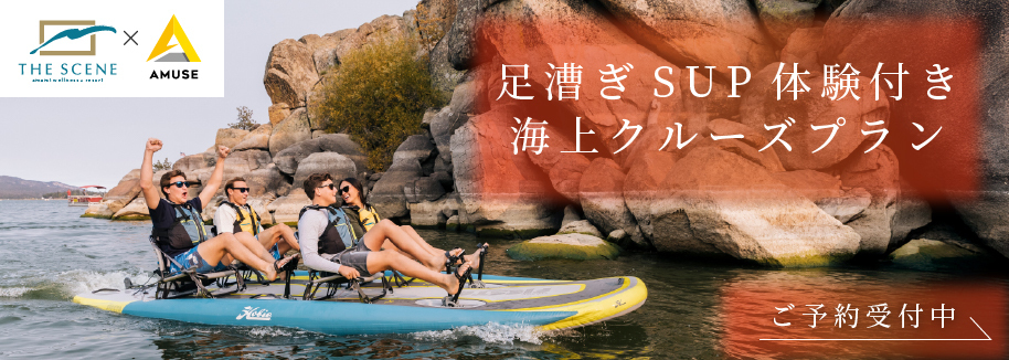 足漕ぎSUP体験付き・海上クルーズプラン