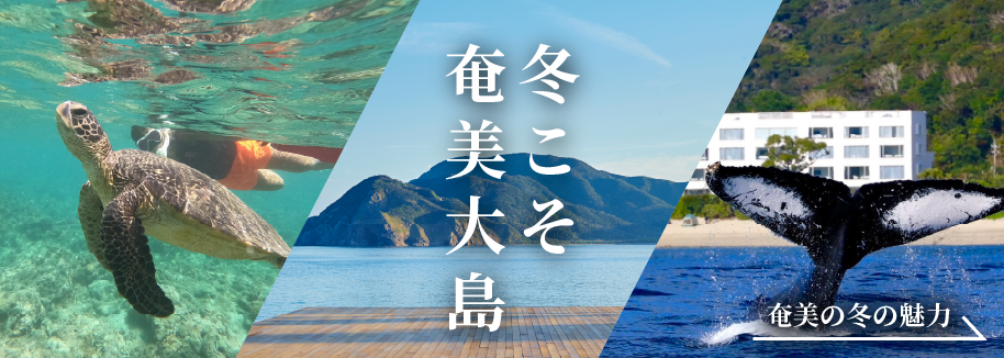 【世界遺産・大自然・加計呂麻島 〜奄美秘湯の地『THE SCENE』の魅力〜