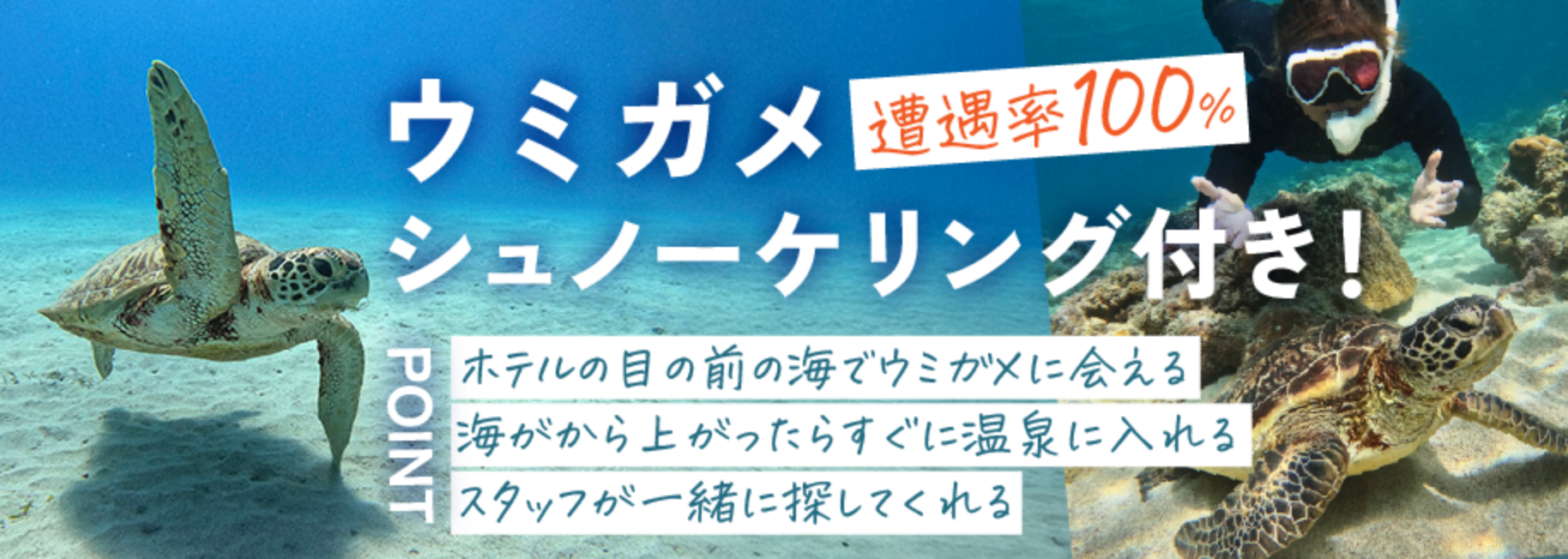 ウミガメシュノーケリング付き！特別プラン