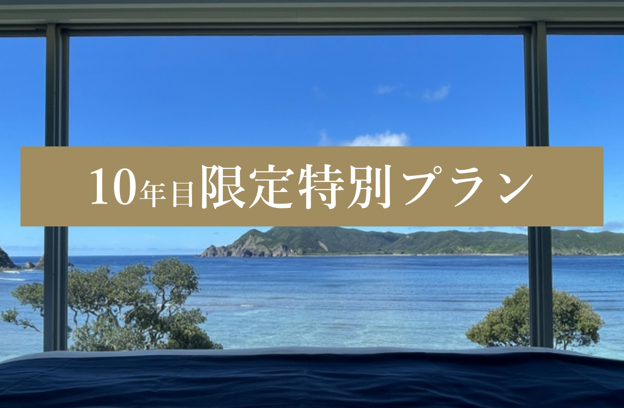 【THE SCENEに泊まるならコレ】人気No.1！おすすめウェルネスプラン