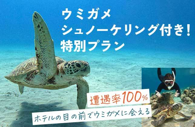 ウミガメシュノーケリング付き！特別プラン