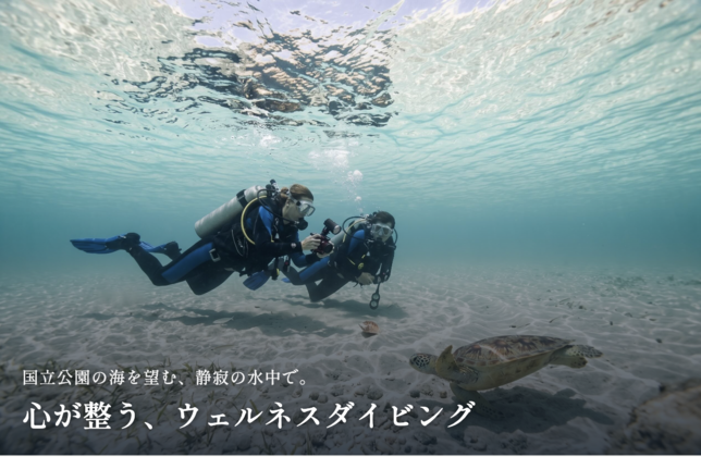 【8月から12月】ウェルネスダイビング